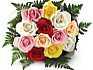 Zodiac floral Zodiac floral